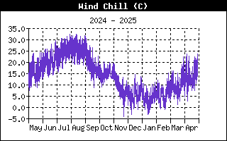 Andamento wind chill nell'ultimo anno