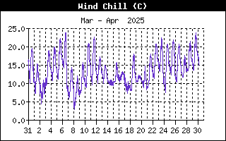 Andamento wind chill nell'ultimo mese