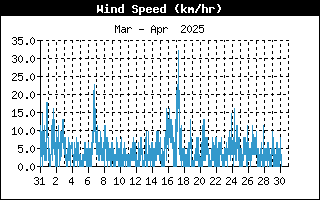 Andamento velocità media del vento nell'ultimo mese