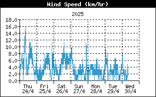 Andamento velocità media del vento nell'ultima settimana